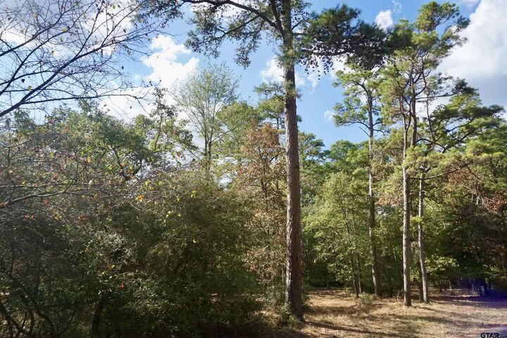 Property Photo: Tbd Lot 146 (Evening Shadows Trail) TX 75765