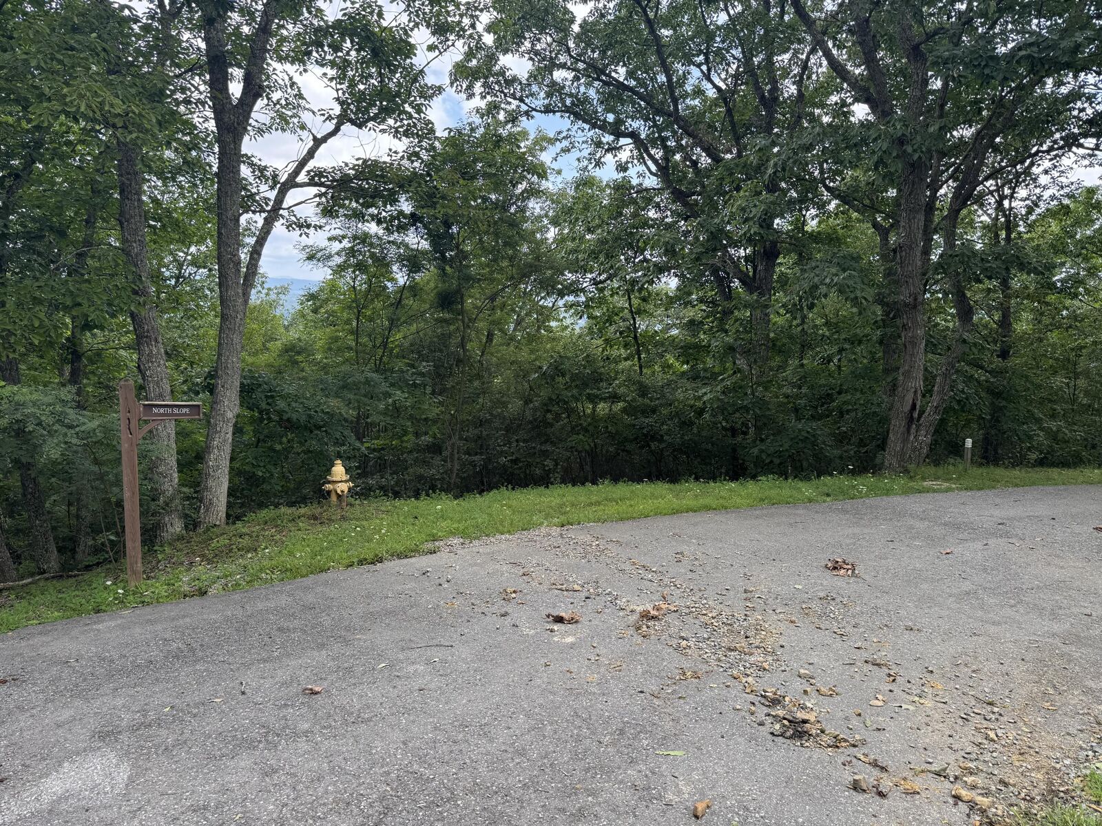 Property Photo:  White Rock Trail  WV 24925 