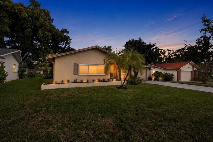 Property Photo: 2336 Malcolm Drive FL 34684