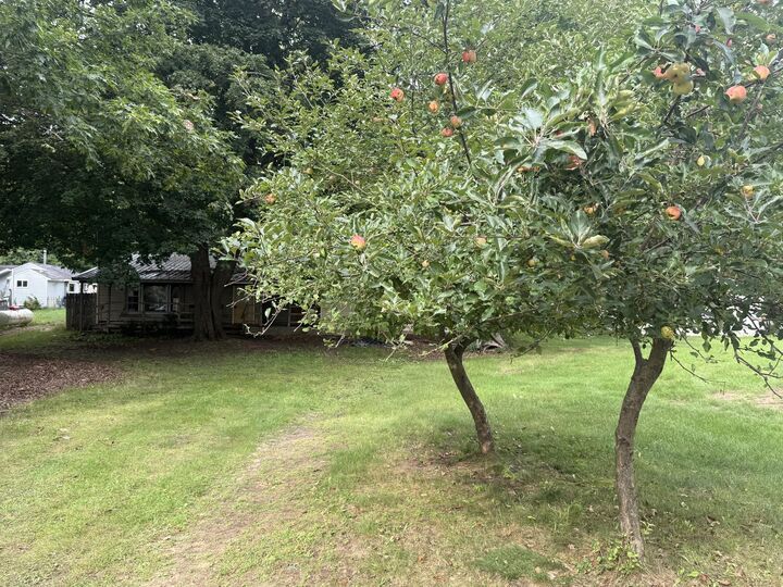 Property Photo:  14339 Park Drive  MI 49332 