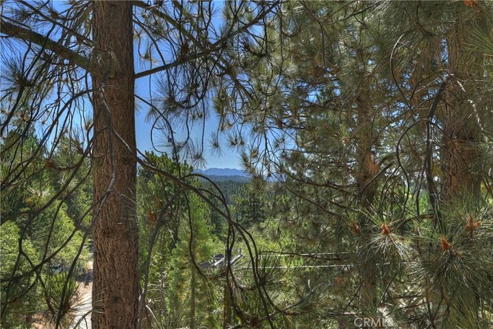 Property Photo: 1753 Nob Hill Drive CA 92382