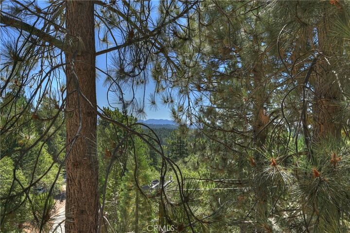 Property Photo:  1753 Nob Hill Drive  CA 92382 
