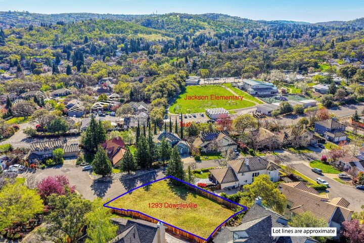 Property Photo:  1296 Downieville Drive  CA 95762 