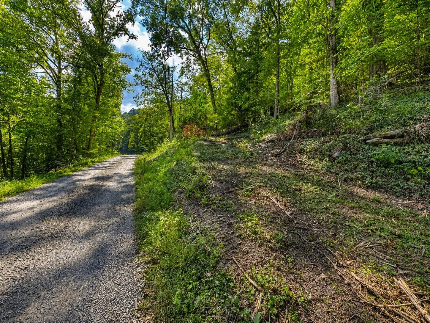 Property Photo:  0 Halls Hollow Rd  TN 37166 