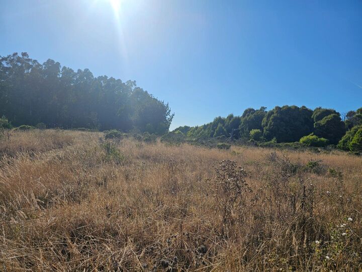 Property Photo:  00 Bonita Avenue  CA 94019 