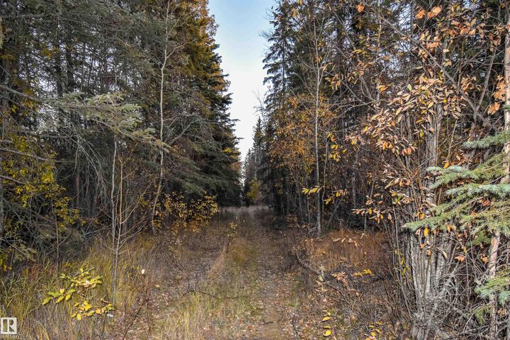 Property Photo:  Twp Rd 625 And Hwy 63  AB T0A 2P0 