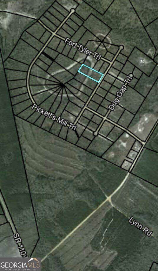 Property Photo:  Lot 80 Picketts Trail  GA 31566 