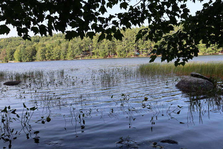 Property Photo:  Lot 0 Sweet Fern Way  ME 04472 