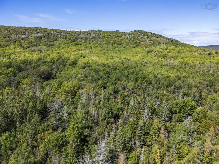 Property Photo:  Lot Haul Road  NS B0S 1A0 