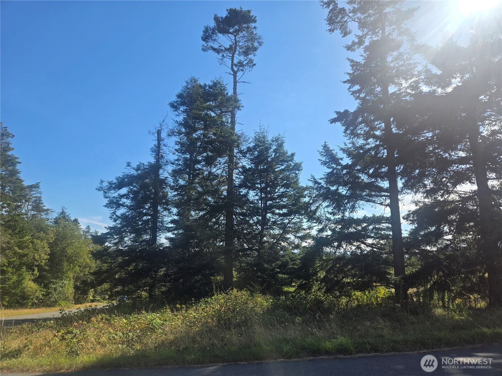 Property Photo:  0 Xxx  Lacana Street  WA 98239 