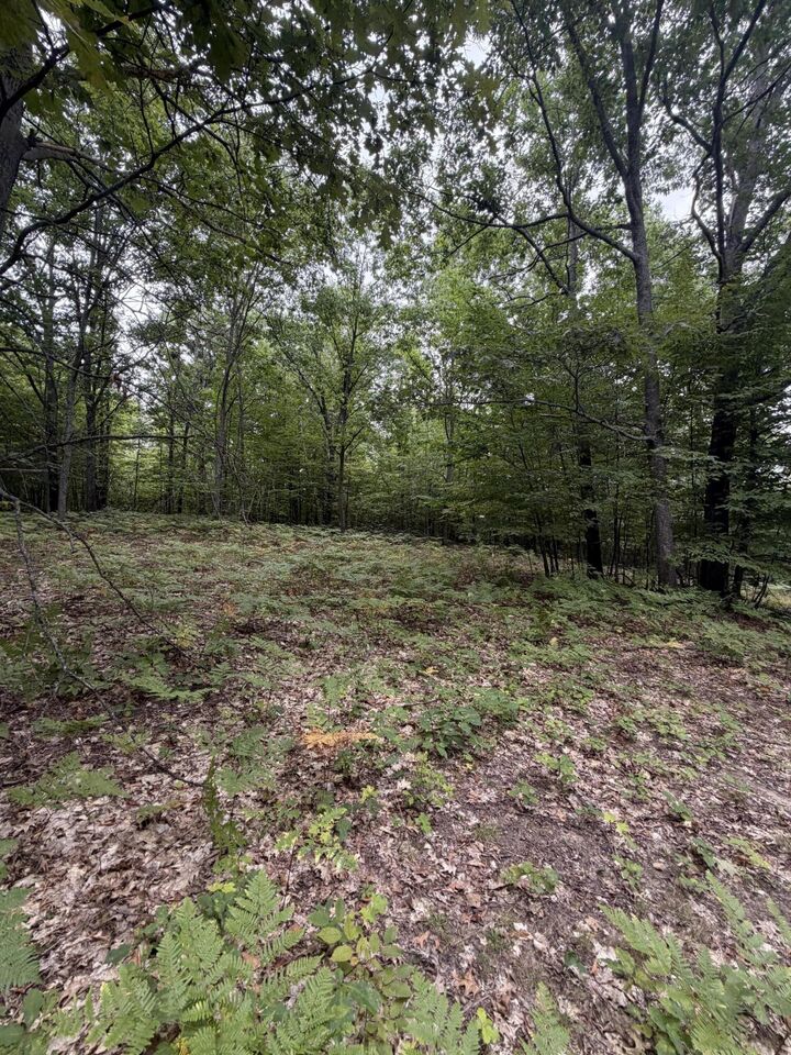 Property Photo:  V/L 10ac Oakhaven Drive  MI 49705 