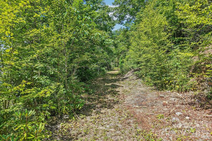 Property Photo:  G6 Ataya Trail  NC 28751 