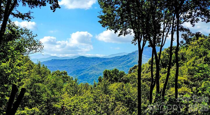 Property Photo: 476 Waterford Drive NC 28751
