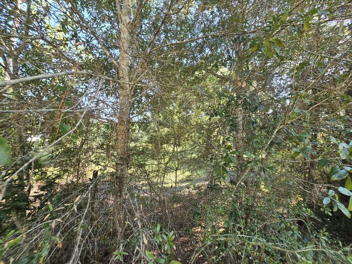 Property Photo: Tbd Randi Road FL 32539