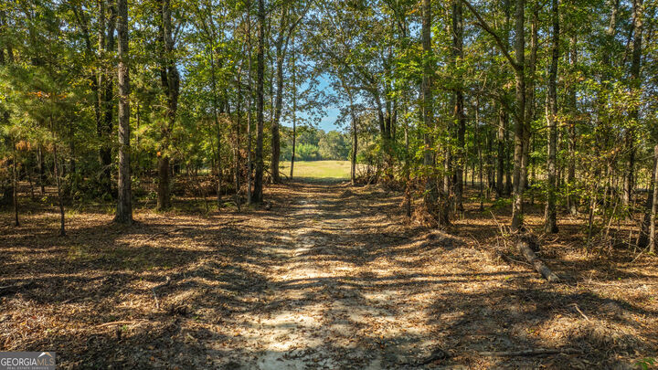 Property Photo:  0 Livingston Rd  GA 30161 