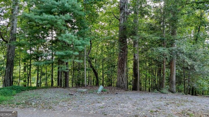 Property Photo:  Lot 29 Harris Ridge Road  GA 30582 