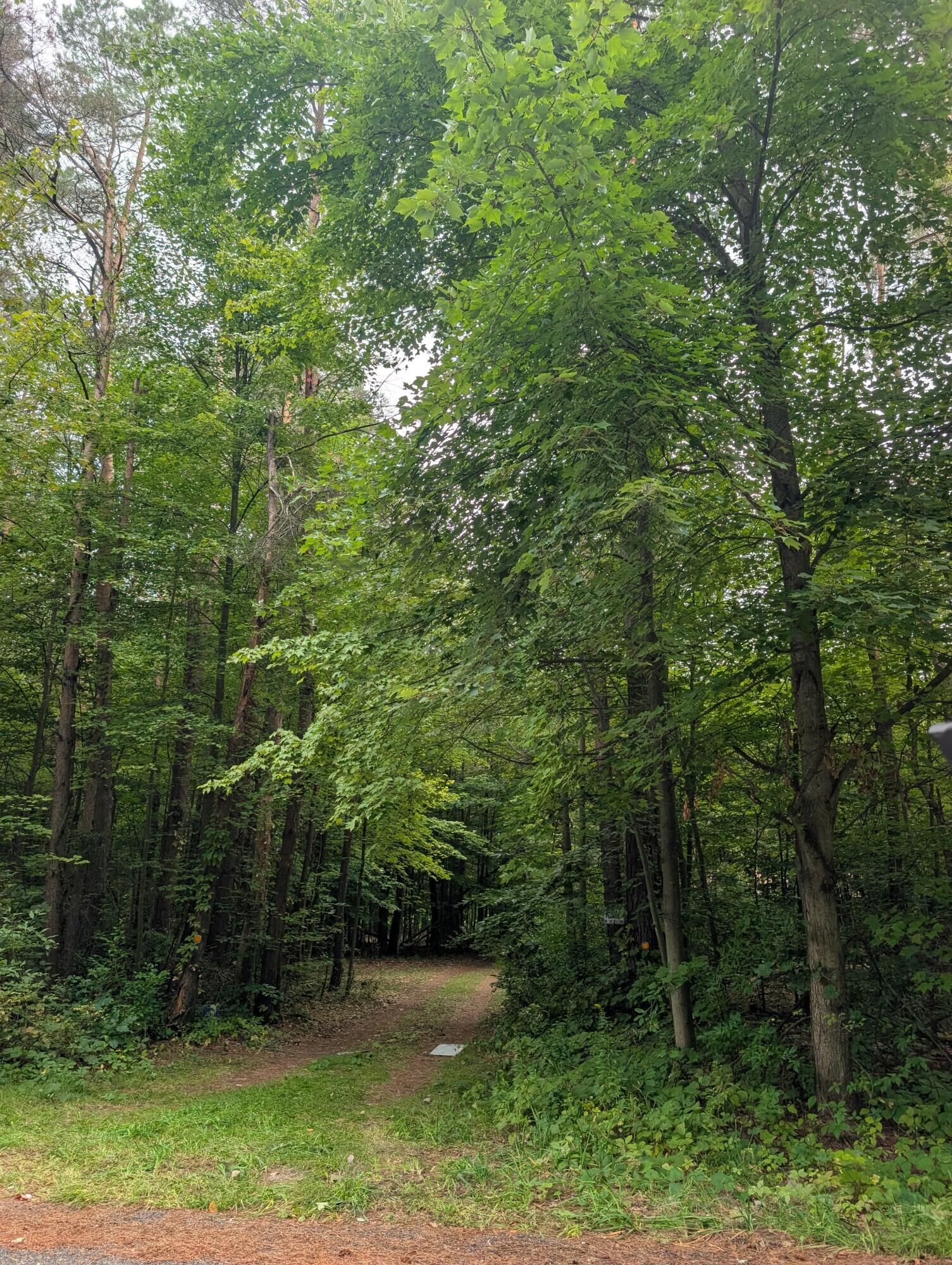 Property Photo: 12389 Heintzelman Road NE MI 49319
