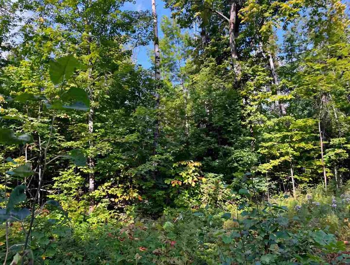 Property Photo: 3397 Indian MI 49716