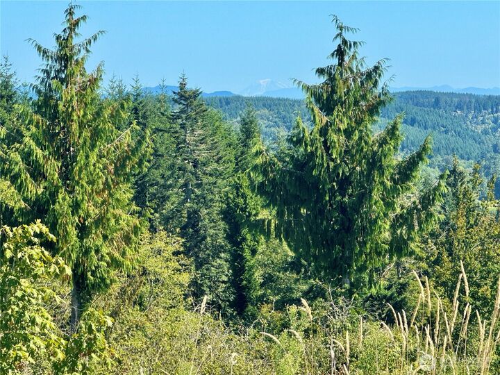Property Photo:  201  Sawall Avenue  WA 98531 
