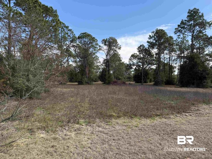 Property Photo:  31849 Randolf Avenue  AL 36549 