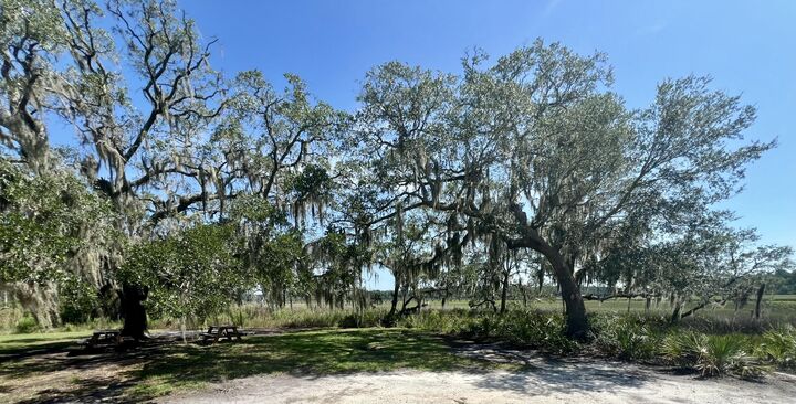 Property Photo:  511 Chicora Lane  SC 29945 