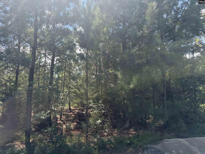 Property Photo: 0 Lathrop SC 29126