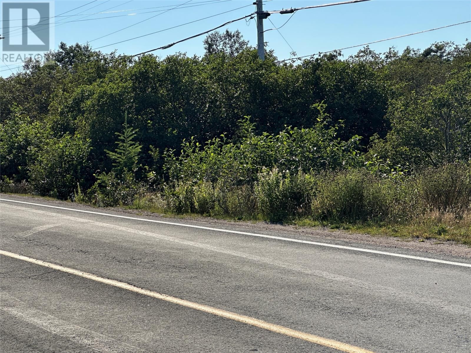 Property Photo:  293-297 Main Road  NL A0B 2B0 