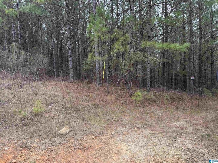 Property Photo: 752 Haven Farm Drive G AL 35051