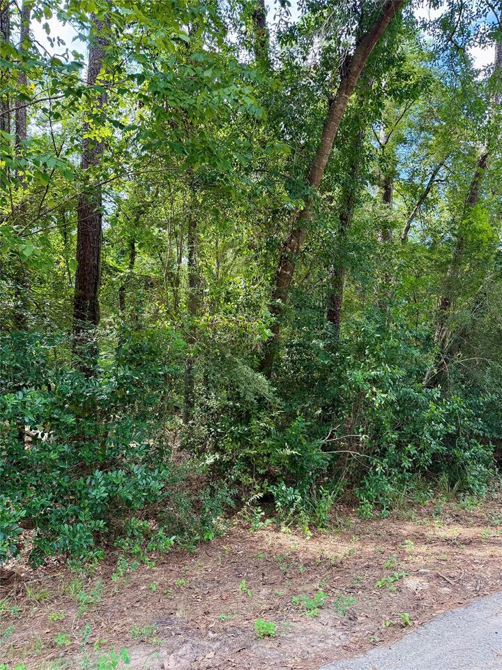 Property Photo: 0 Cottonwood Cove Lane TX 77380