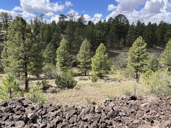 Property Photo: 5036 N Cataract Drive AZ 86046