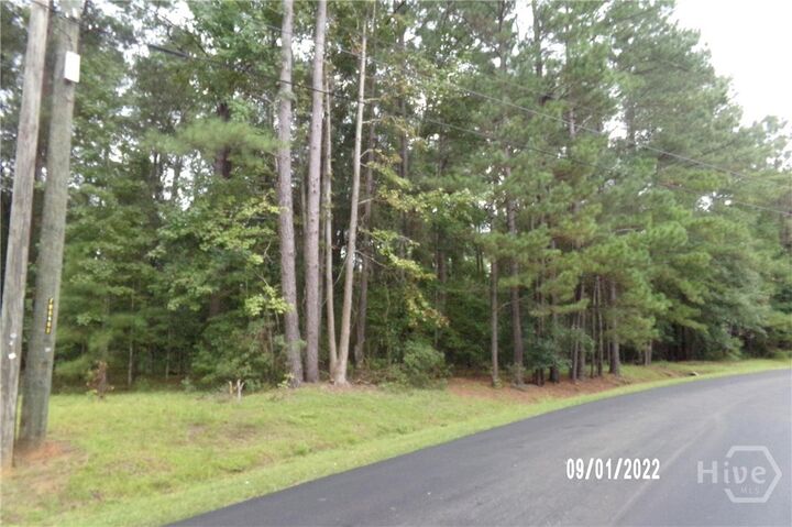 Property Photo:  Lot 1 Conaway Road  GA 31302 