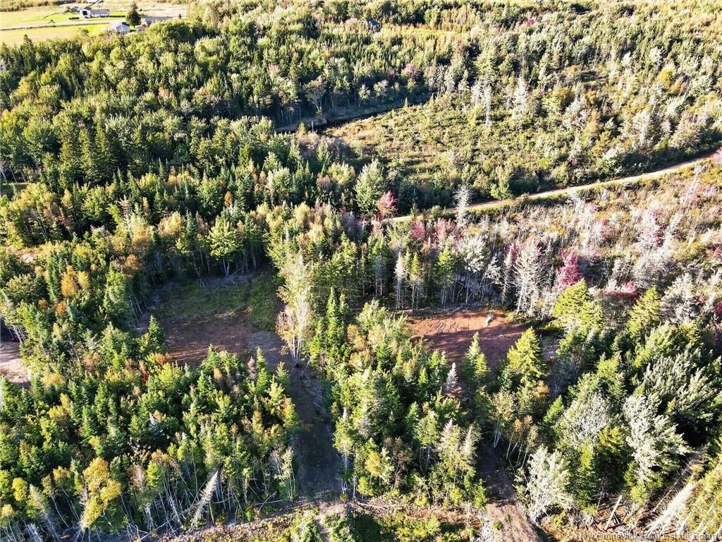 Property Photo:  211 La Fontaine Drive  NB E1H 0E3 
