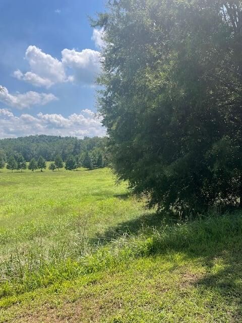 Property Photo:  Lot 8 Captains Court  GA 30523 