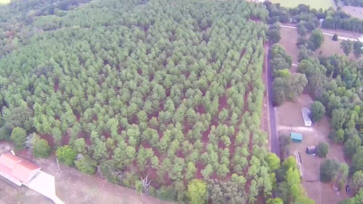 Property Photo:  Tbd 10 Acres West Spruce Rd. West Side  TX 75755 
