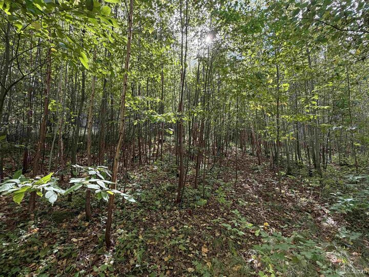Property Photo:  W 40 +/- Acres 2116 US 41 Highway  MI 49861 