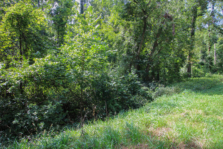 Property Photo:  V/L Millard Road  MI 49093 