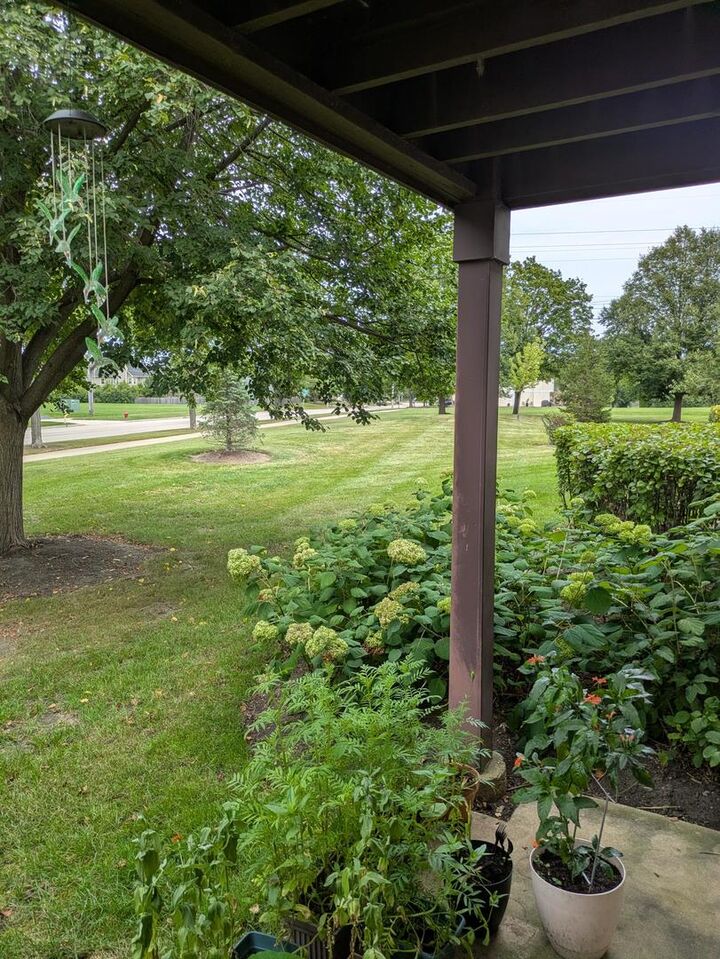 Property Photo: 199 Lawn Court 199 IL 60089