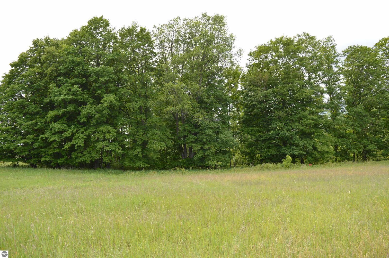 Property Photo: L Summit City Road MI 49649