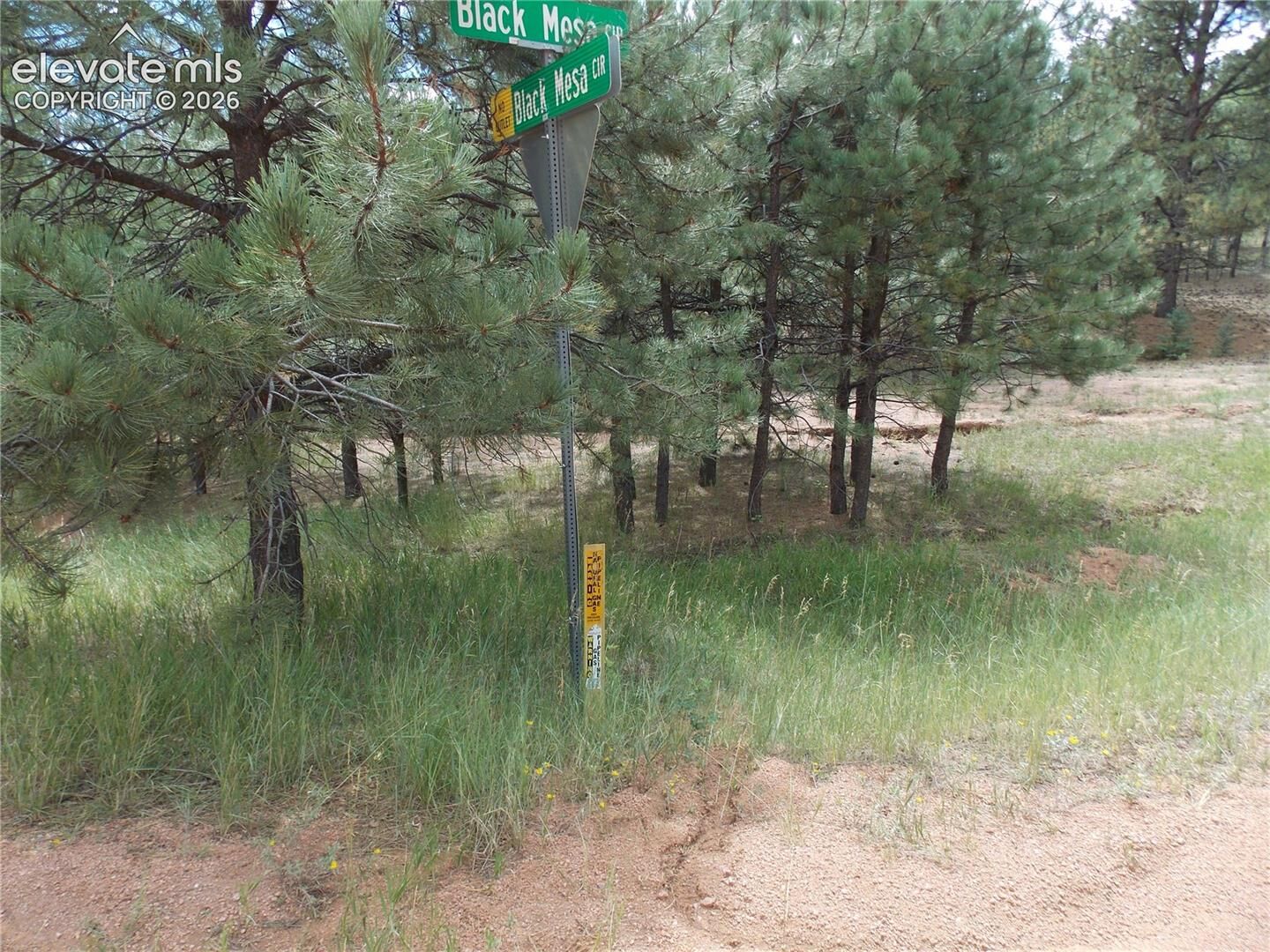 Property Photo:  738 Black Mesa Circle  CO 80816 