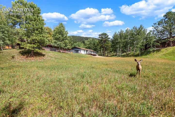 Property Photo:  1035 Park View Road  CO 80863 