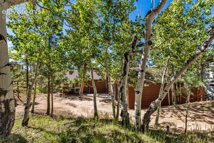 Property Photo:  208 Illini Drive  CO 80863 