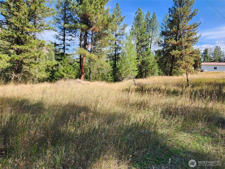 Property Photo:  0 Tbd  Pine Grove Street  WA 99166 