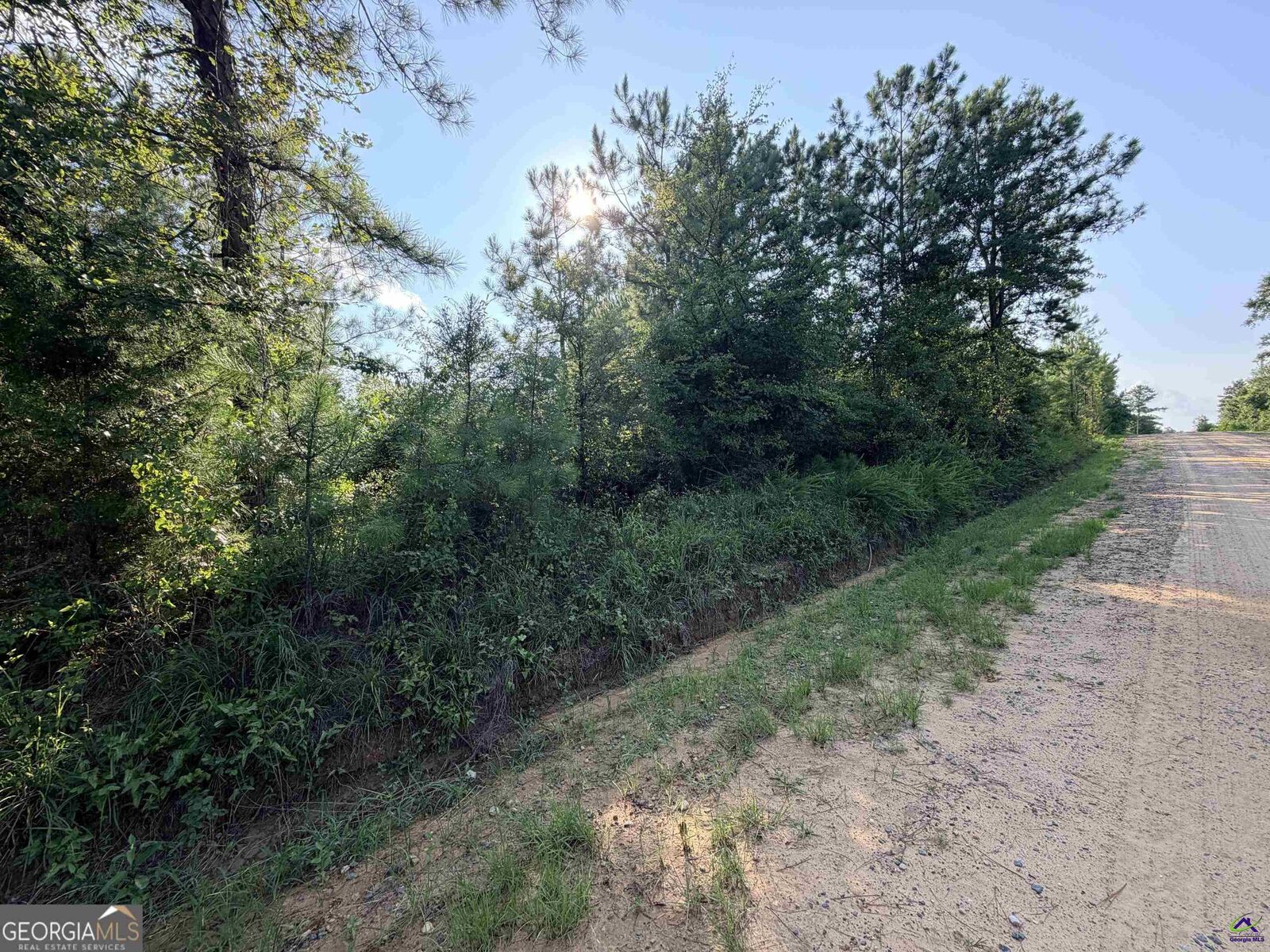 Property Photo:  0 Hollis Road  GA 31078 