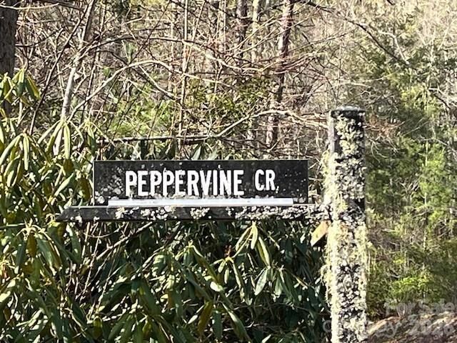 Property Photo:  000 Peppervine Circle  NC 28772 
