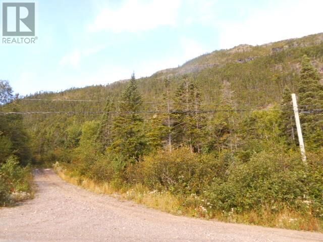 Property Photo:  00 Route 391-10  NL A0J 1H0 