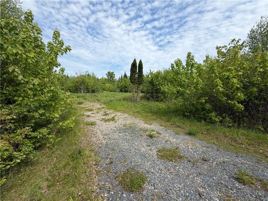 Property Photo:  225 South Black River Road  NB E1N 5S5 