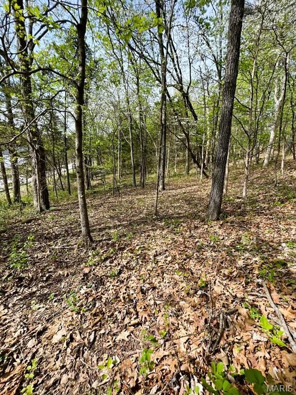 Property Photo: 3539 Red Oak Drive MO 63052