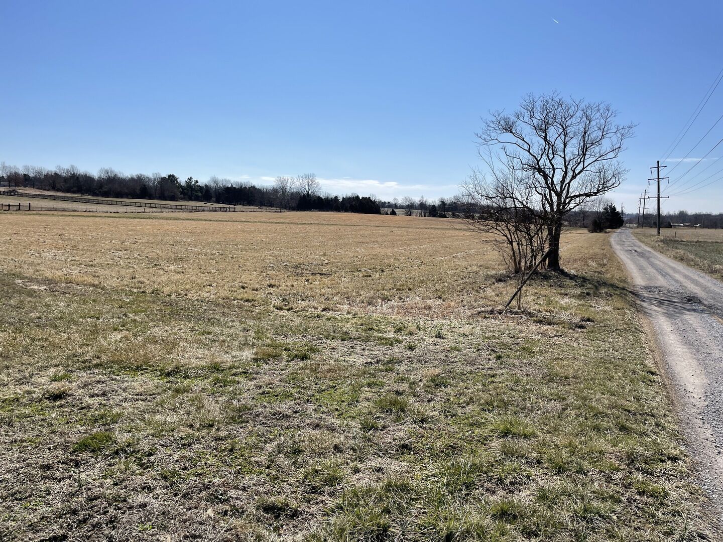 Property Photo: 0000 Crabtree School Road IL 62959