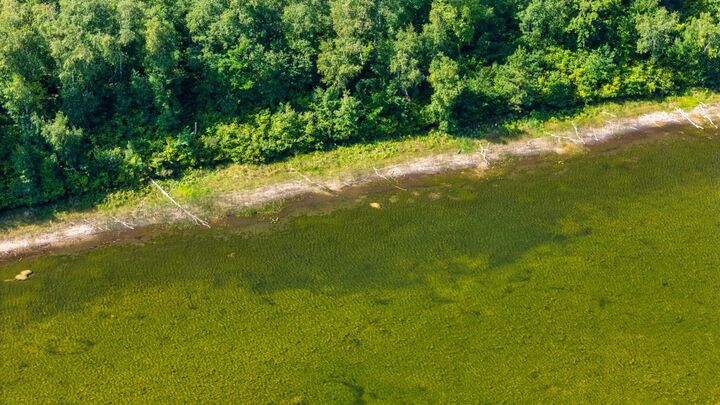 Property Photo:  Lot 8 Park Preserve Trail NE  MN 56601 