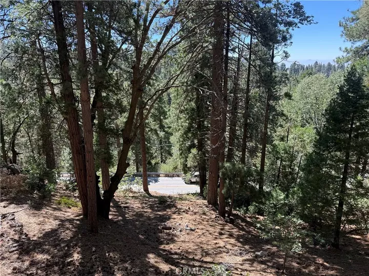 Property Photo:  32375 Scandia Dr  CA 92382 